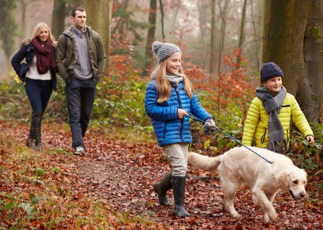 Парки Химок: маршруты для идеального городского отдыха и прогулок