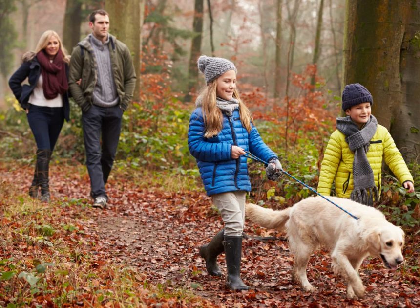 Парки Химок: маршруты для идеального городского отдыха и прогулок