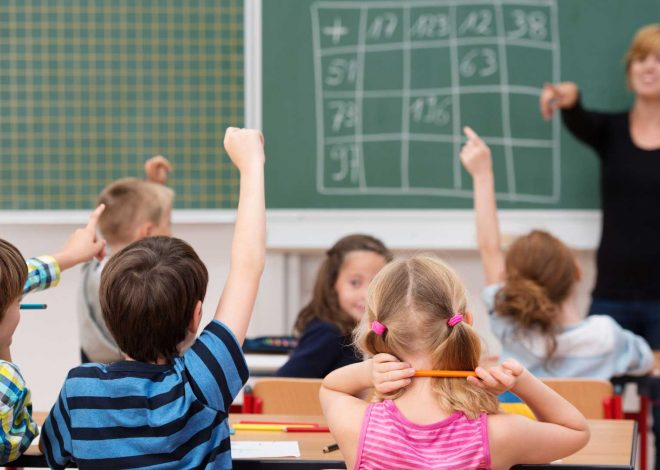 Школы и детские сады Химок: полный путеводитель для родителей