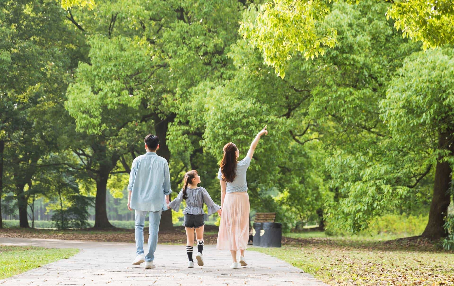 Парки Химок: маршруты для идеального городского отдыха и прогулок - 5
